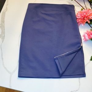Express Pencil Side Zipper Skirt